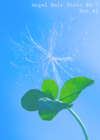 Angel Hair Photo#4-7Not AI