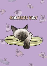 siamesecats4 - purple