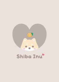 Shiba Inu2 Orange [beige]