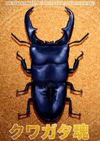Stag beetle spirit