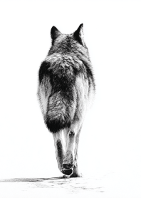 Fading Wolf Silhouette