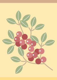 Nandina berries on B&Y