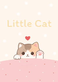 Cute cat Chanom