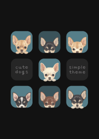 DOGS - Chihuahua - CLASSY BLUE