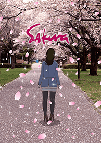 ในการเต้นรำดอกซากุระ