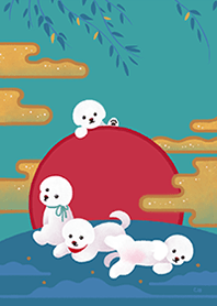 Yallet the Bichon frise