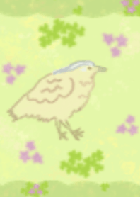 頭黒溝五位/春にさまようズグロミゾゴイ