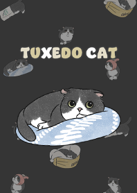 tuxedocat5 / carbon black