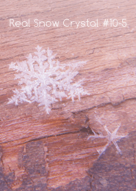 Real Snow Crystal #10-5