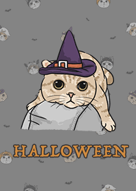 meow's halloween - dark grey .jp
