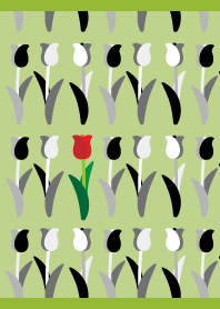 A single red flower on MG