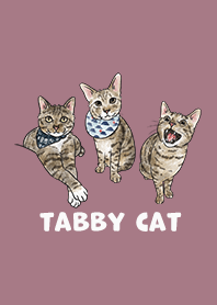 tabbycat2 / dark rose
