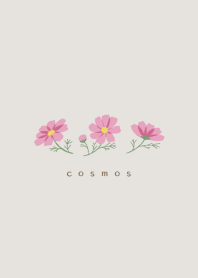 Simple flower/cosmos(beige)