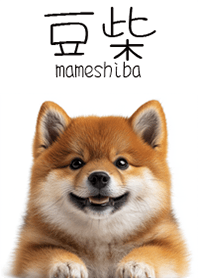 Mameshiba