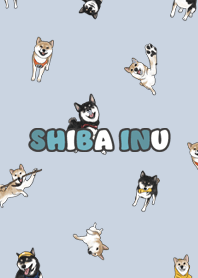 shibainu3 - light slate blue