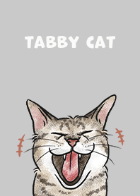 tabbycat4 / grey