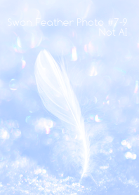 Swan Feather Photo #7-9 Not AI
