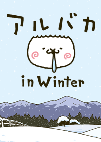 アルバカ in Winter