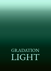 GRADATION LIGHT THEME 41
