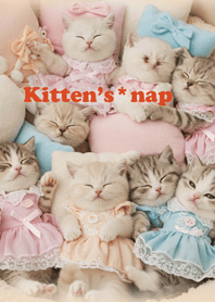 Kitten's nap