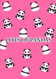 LOTS OF PANDASj-NEON RED-BLACK