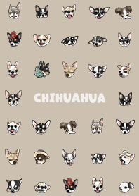 chihuahua2 / tan