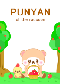 Raccoon Punyan 1