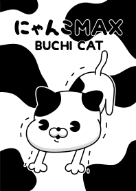 にゃんこMAX(ブチ猫)