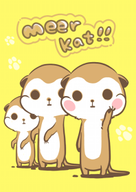 ミーアキャットさん!!