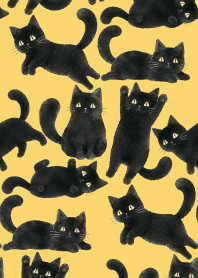 A unique cat11 light yellow