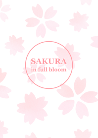 SAKURA in full bloom【Pink】