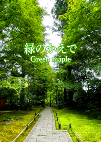 "Green maple vol.2" theme