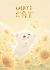Lovely White cat In Sun Flower