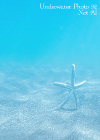 Underwater Photo92 Not AI