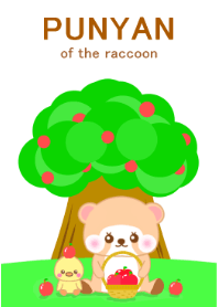 Raccoon Punyan