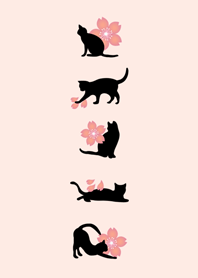 Cherry blossoms and black cat