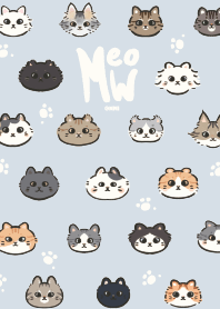 weee - Various Kitties