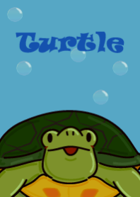 Turtle NEW