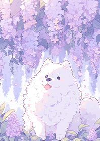 Samoyed Under Purple Cherry Blossoms