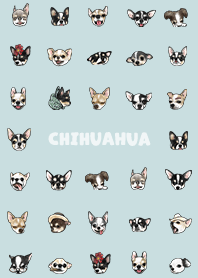 chihuahua2 - light blue