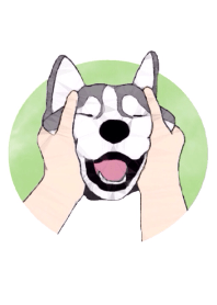 CHARMING HUSKY