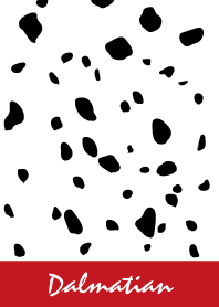 Dalmatian -Red-
