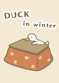 duck in winter