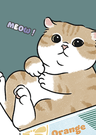 neko single16 / cadet blue