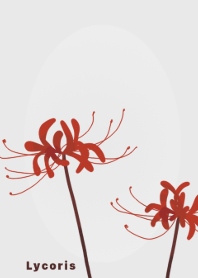 Red Lycoris