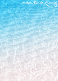 TropicalBeach Photo26 Not AI