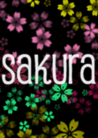 Colorful SAKURA