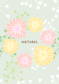 花と可愛い葉11