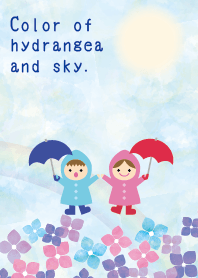 Color of  hydrangea  and sky