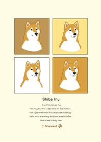 Cute Shiba Inu Daily